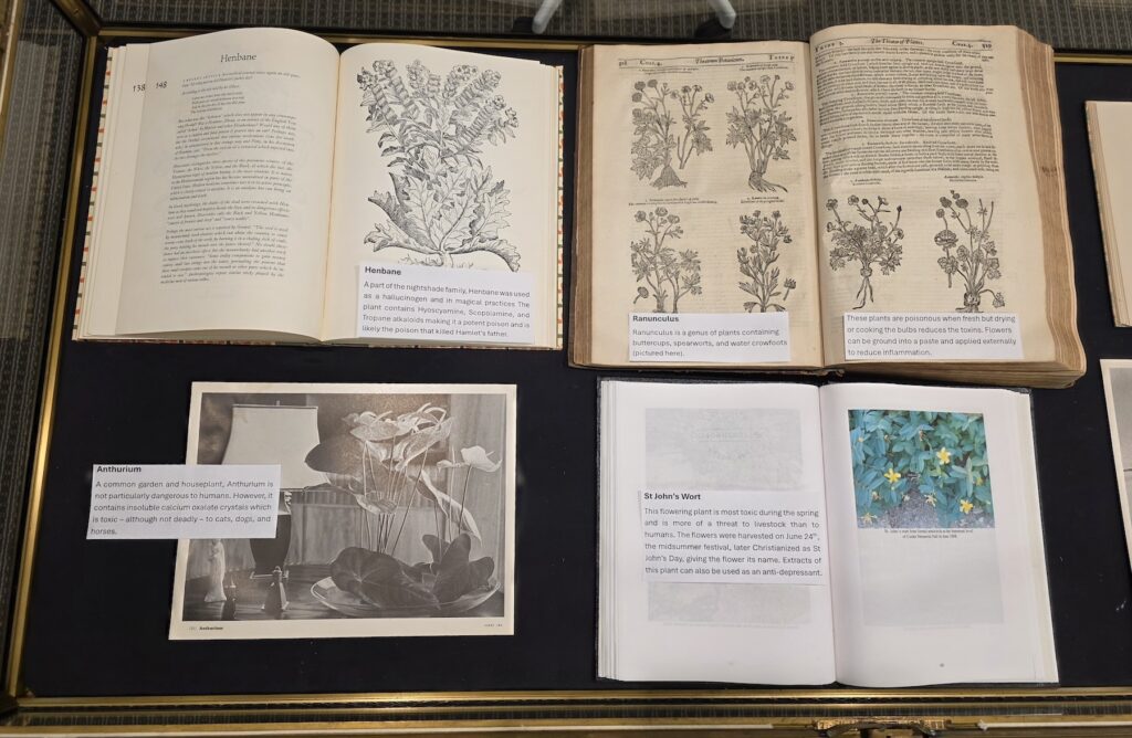 Antique books with botanical drawings in a display case. One black and white plant photograph and one modern book with a color photo of a plant with yellow flowers.