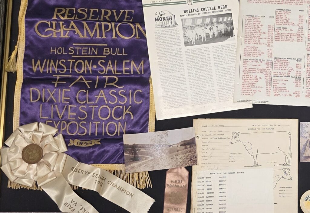 Purple silk banner from the 1954 Winston-Salem fair; dairy inventory list; prize ribbons and photographs.